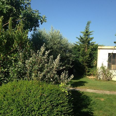 B&B - Le Vieux Figuier Vacqueyras Bagian luar foto