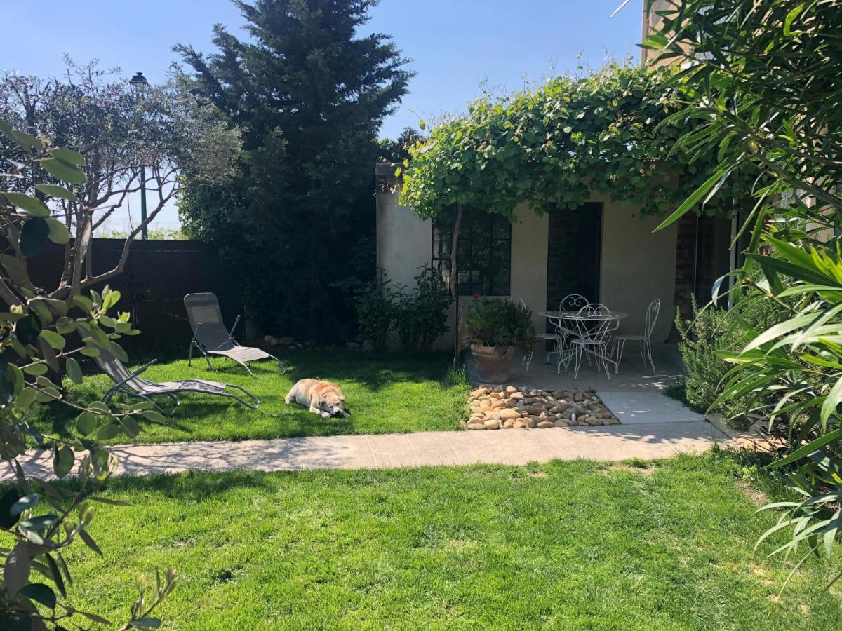 B&B - Le Vieux Figuier Vacqueyras Bagian luar foto