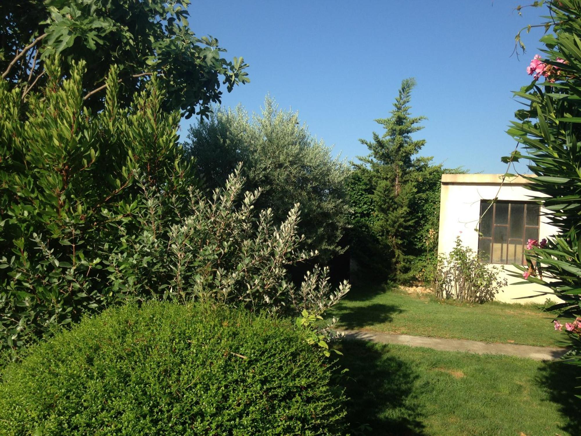 B&B - Le Vieux Figuier Vacqueyras Bagian luar foto