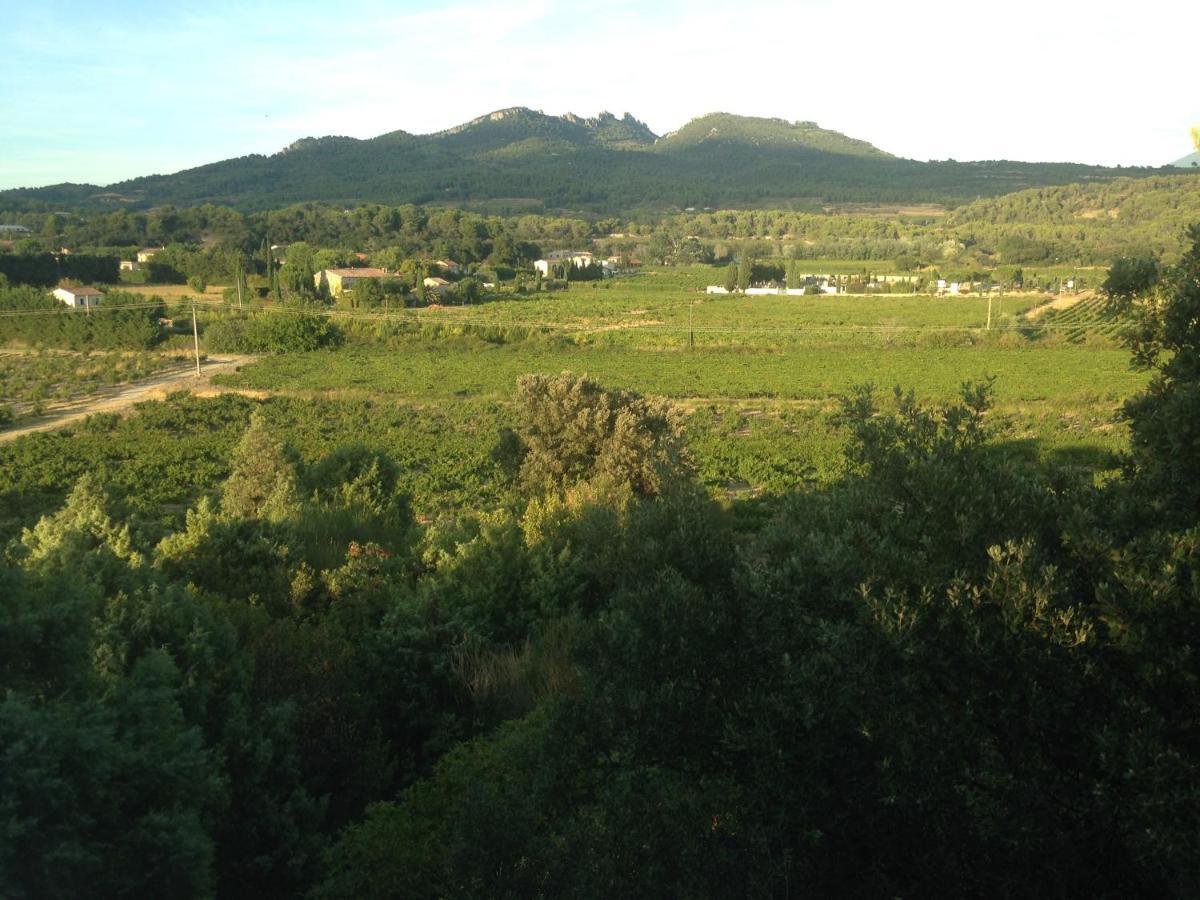 B&B - Le Vieux Figuier Vacqueyras Bagian luar foto