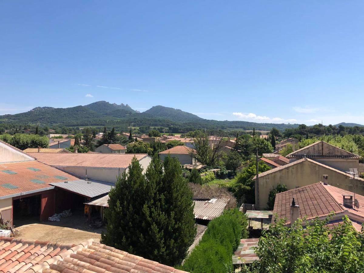 B&B - Le Vieux Figuier Vacqueyras Bagian luar foto